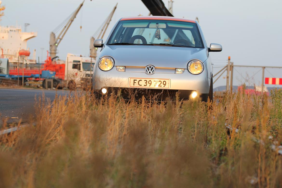 VW Lupo 3L billede 19