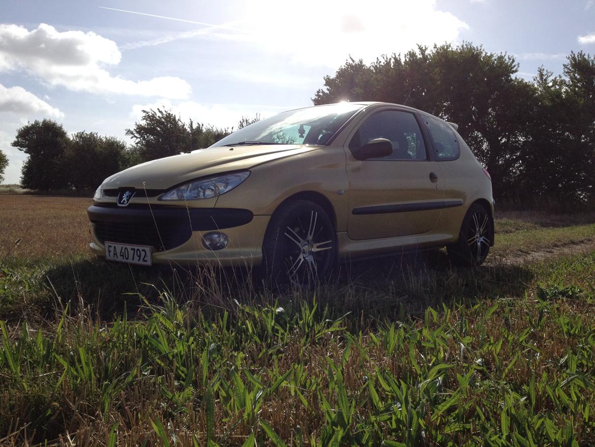 Peugeot 206 "Golddigger" billede 1