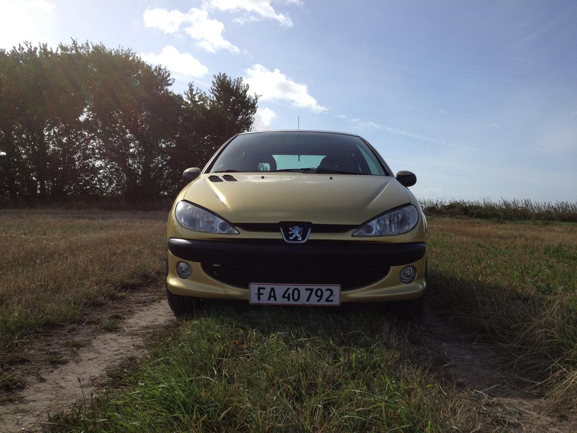 Peugeot 206 "Golddigger" billede 2