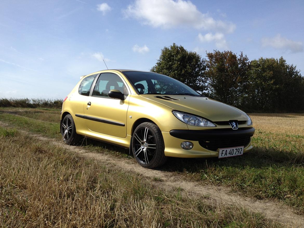 Peugeot 206 "Golddigger" billede 3