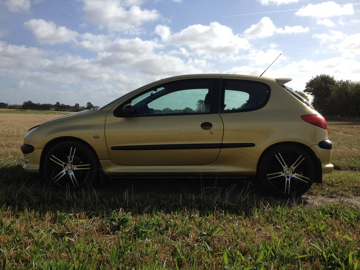 Peugeot 206 "Golddigger" billede 4