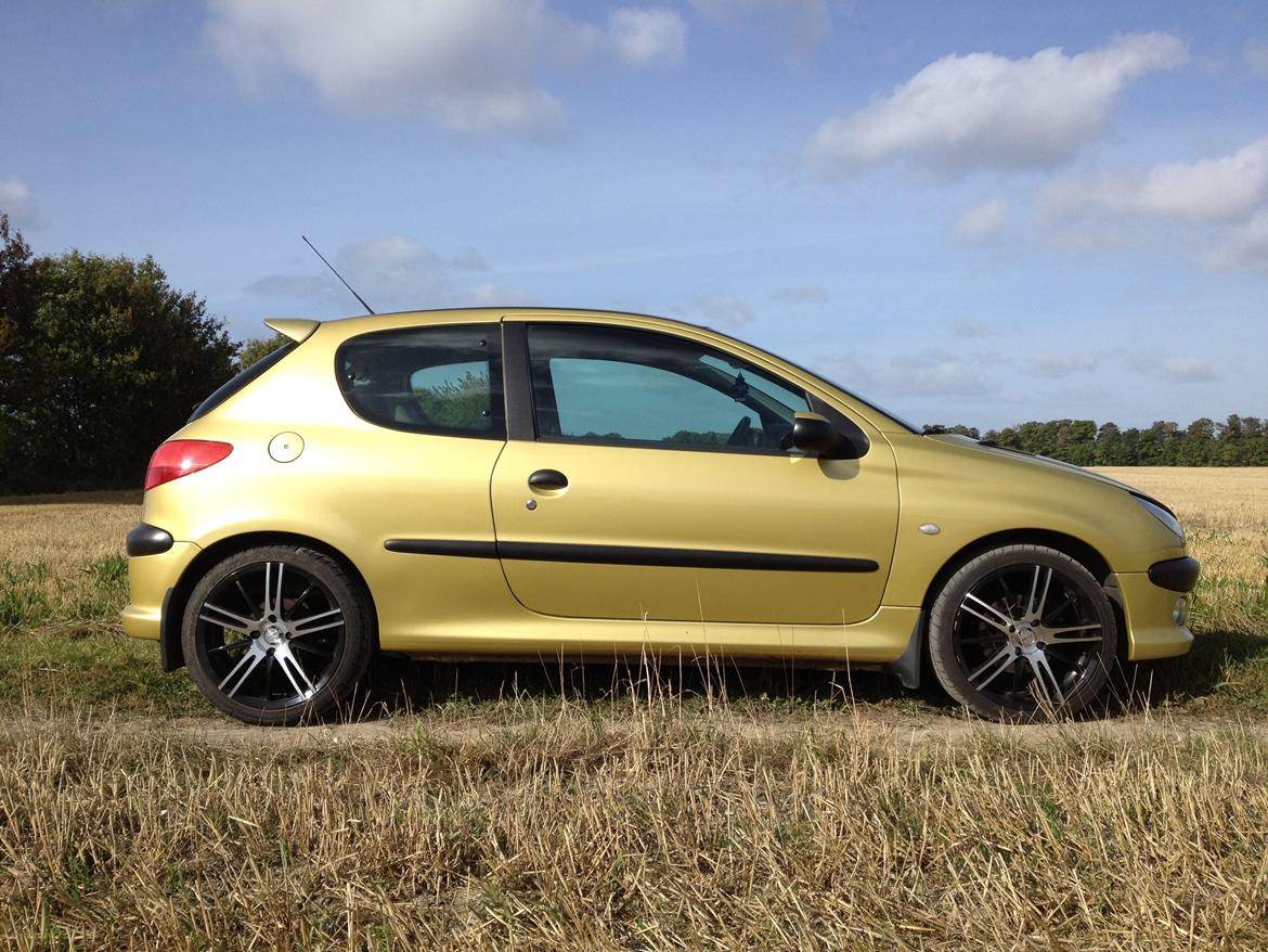 Peugeot 206 "Golddigger" billede 5