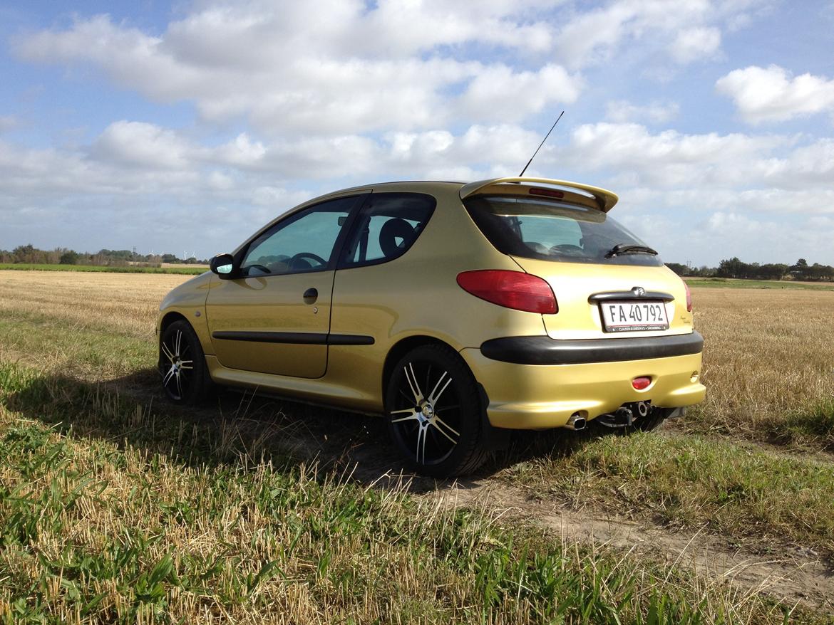 Peugeot 206 "Golddigger" billede 6
