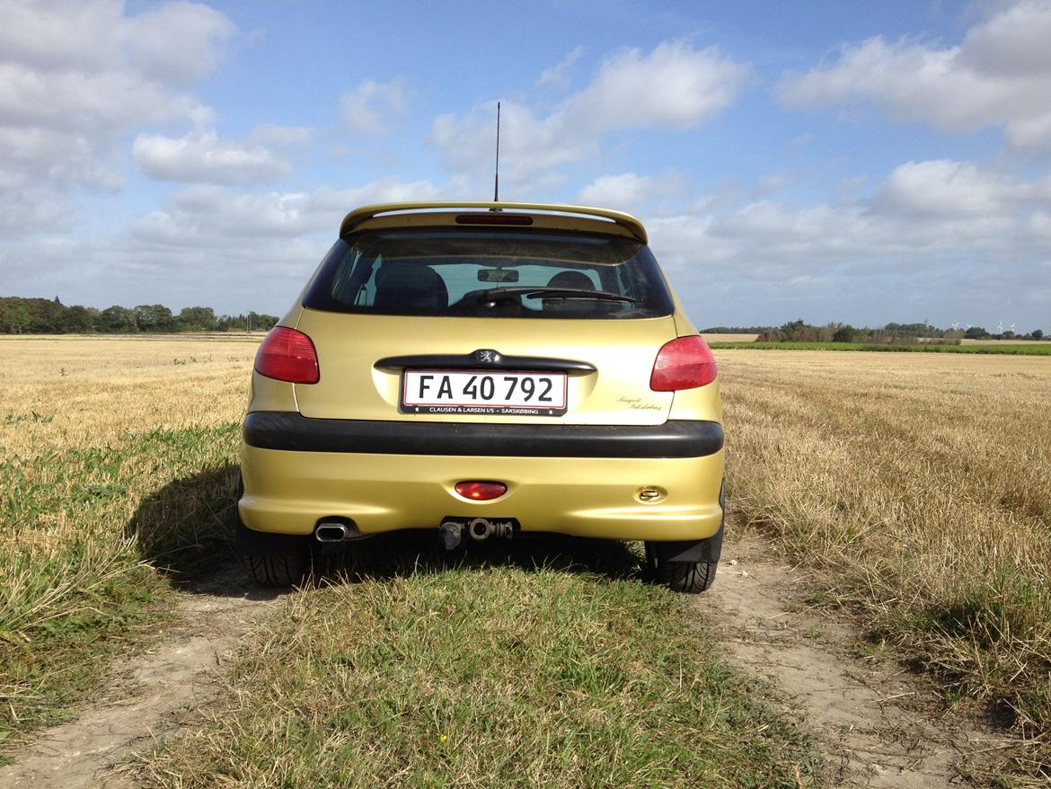 Peugeot 206 "Golddigger" billede 7