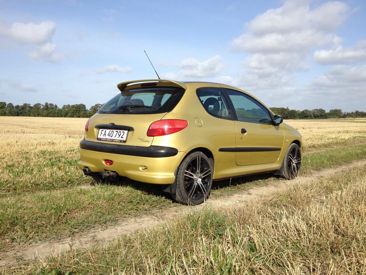 Peugeot 206 "Golddigger" billede 8