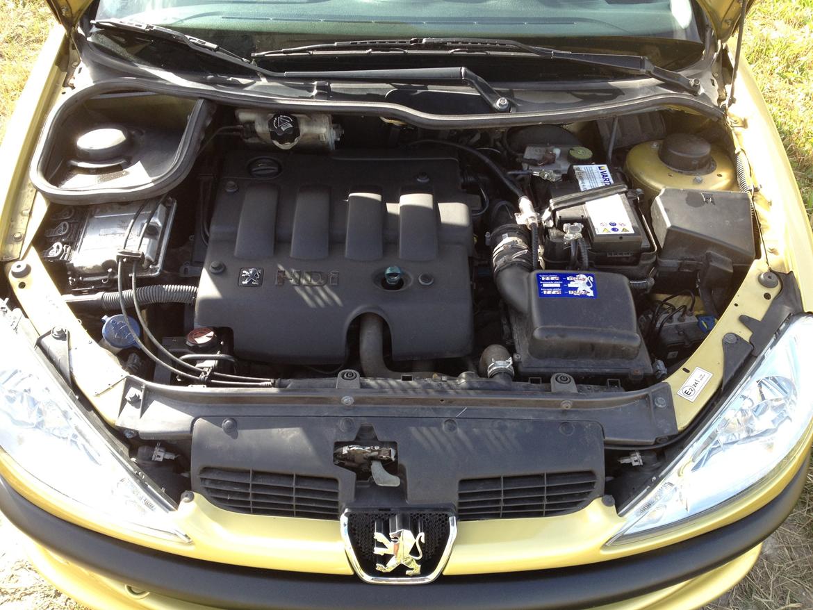 Peugeot 206 "Golddigger" billede 9