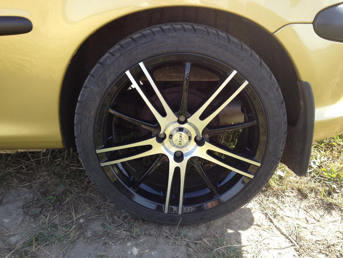 Peugeot 206 "Golddigger" billede 10