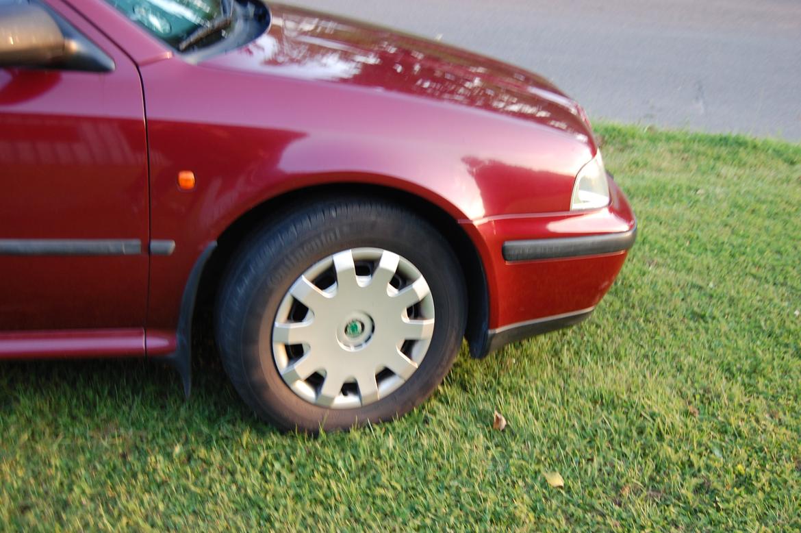 Skoda Octavia billede 2