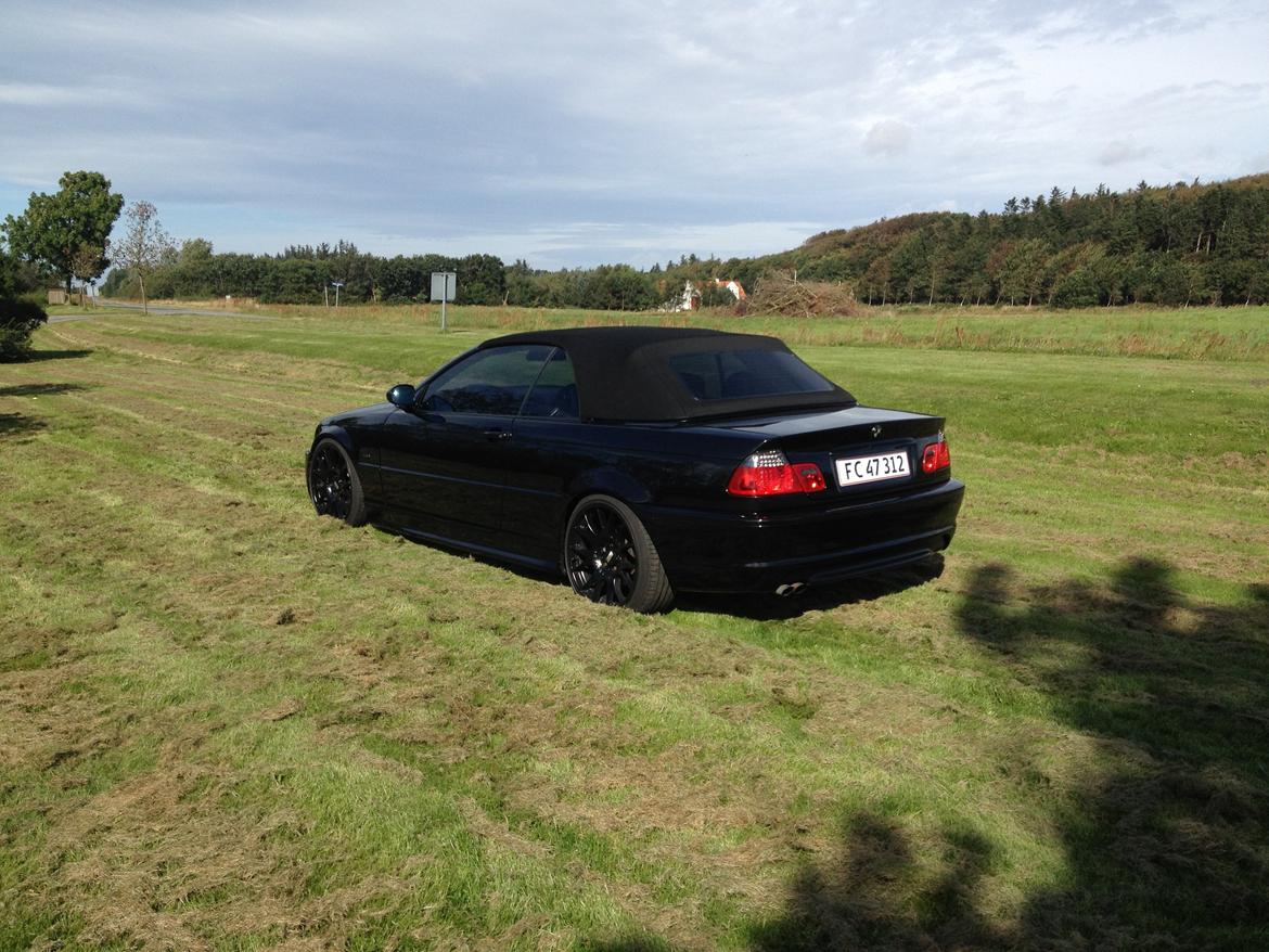 BMW E46 Cabriolet billede 5