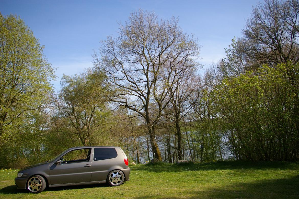 VW Polo 6N 1,4 16V (EFTER)[SOLGT] billede 11