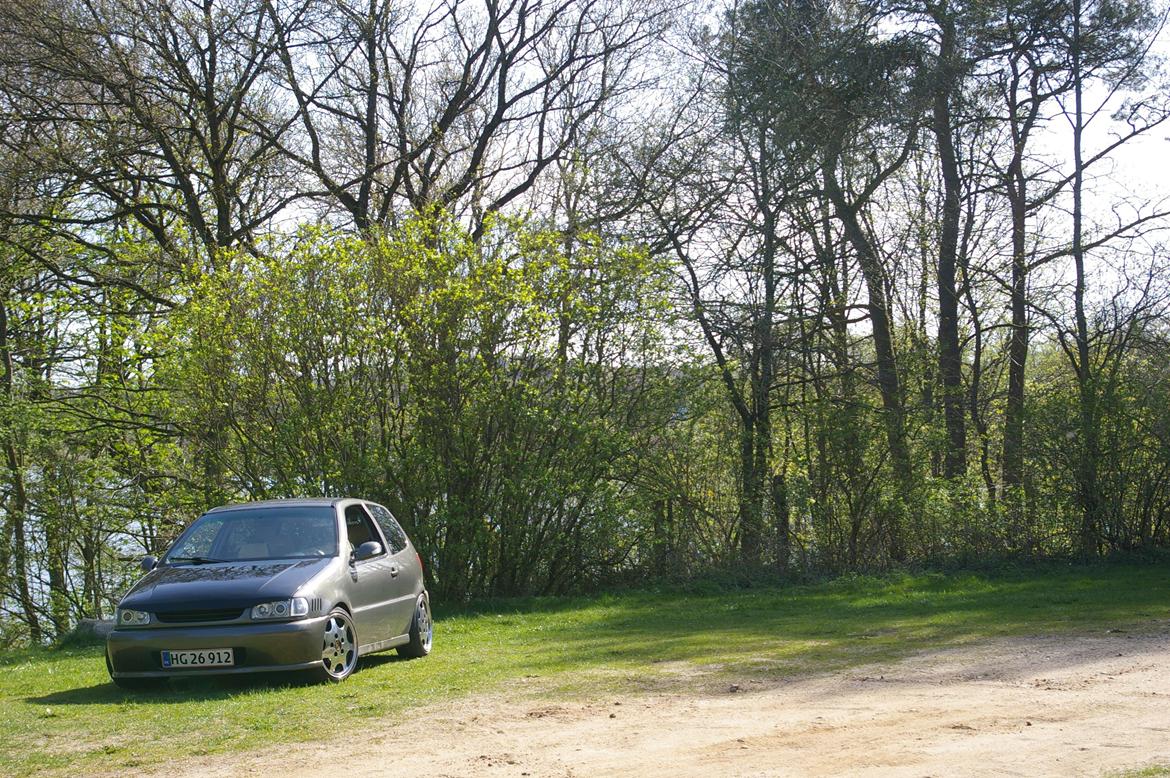 VW Polo 6N 1,4 16V (EFTER)[SOLGT] billede 5