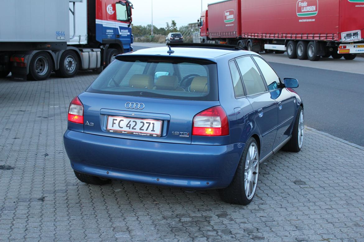 Audi A3 1.9 TDI Quattro billede 2