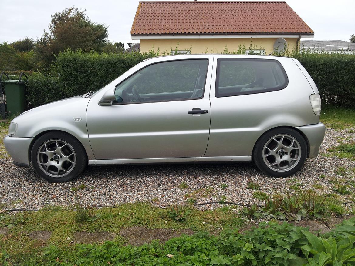 VW polo 6n billede 5