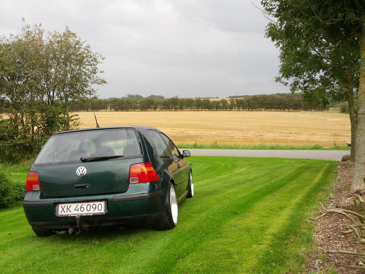 VW Golf IV billede 6