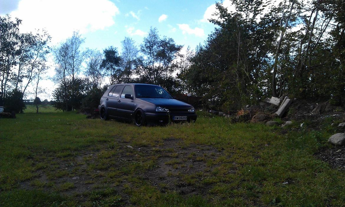 VW Golf III Gtd billede 15