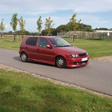 VW Polo 6n 8v (SOLGT)