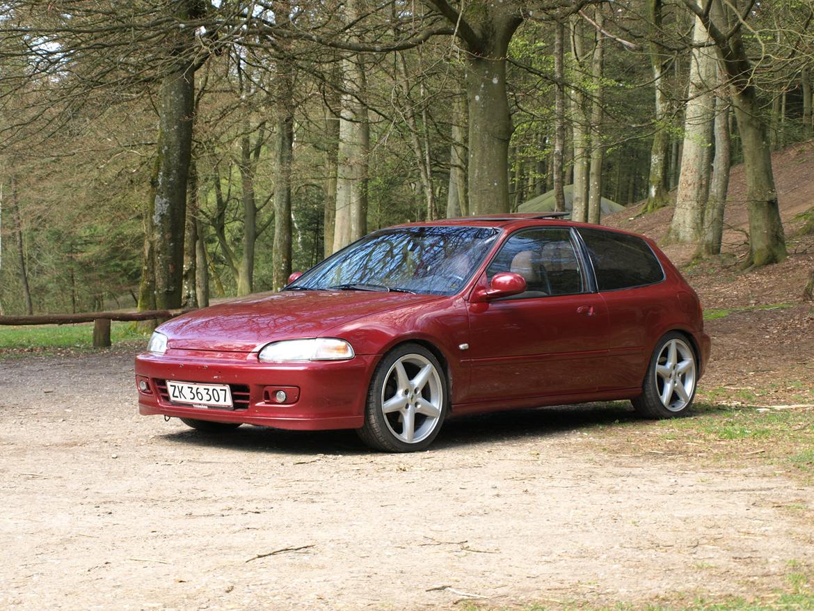 Honda Civic EG6 billede 6