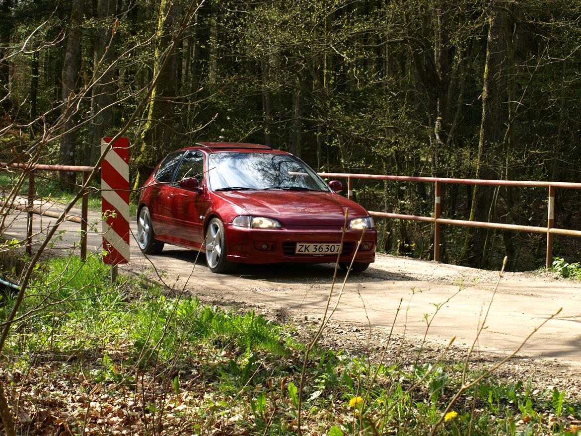 Honda Civic EG6 billede 8