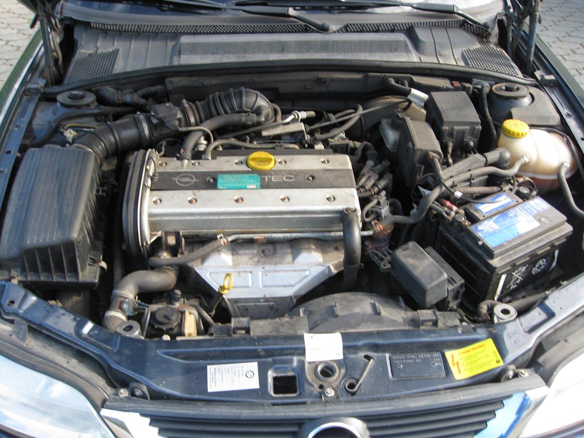 Opel Vectra B billede 12