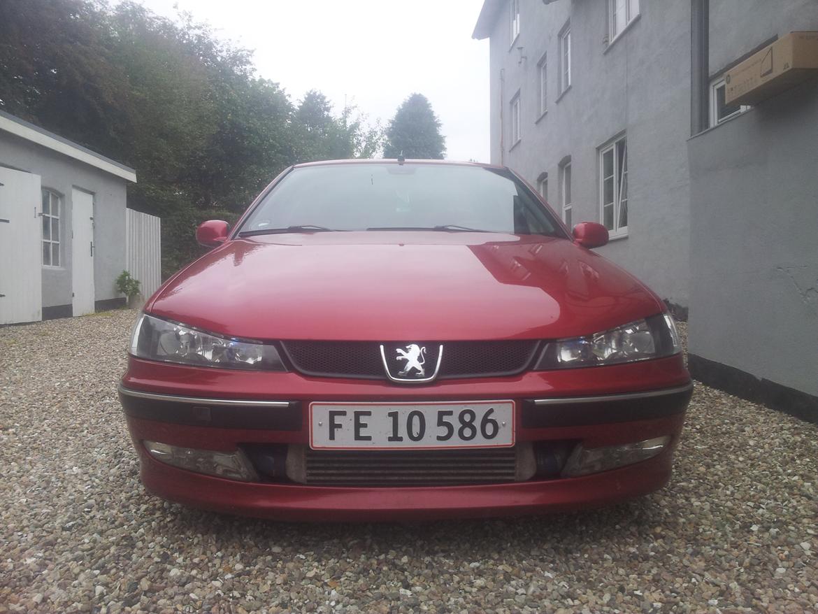 Peugeot 406 sv turbo - "bad lion" billede 1