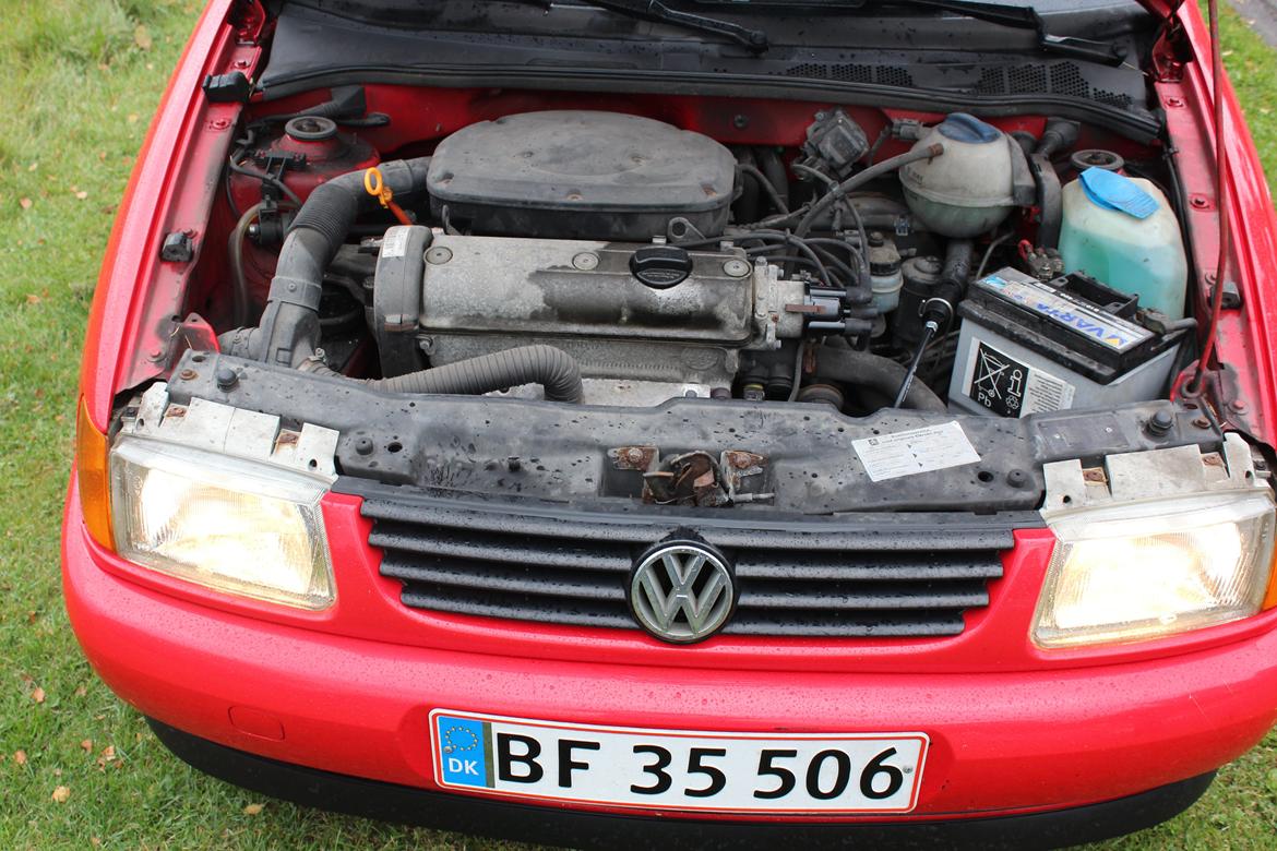 VW Polo Open Air billede 5