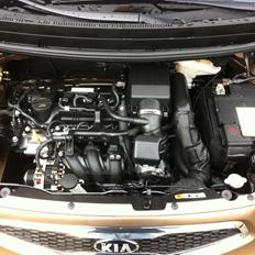 Kia Picanto 1,0 Active Eco