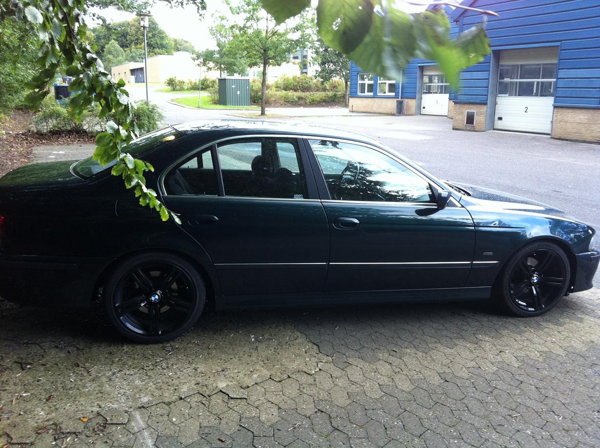 BMW e39 523i - M5 billede 6