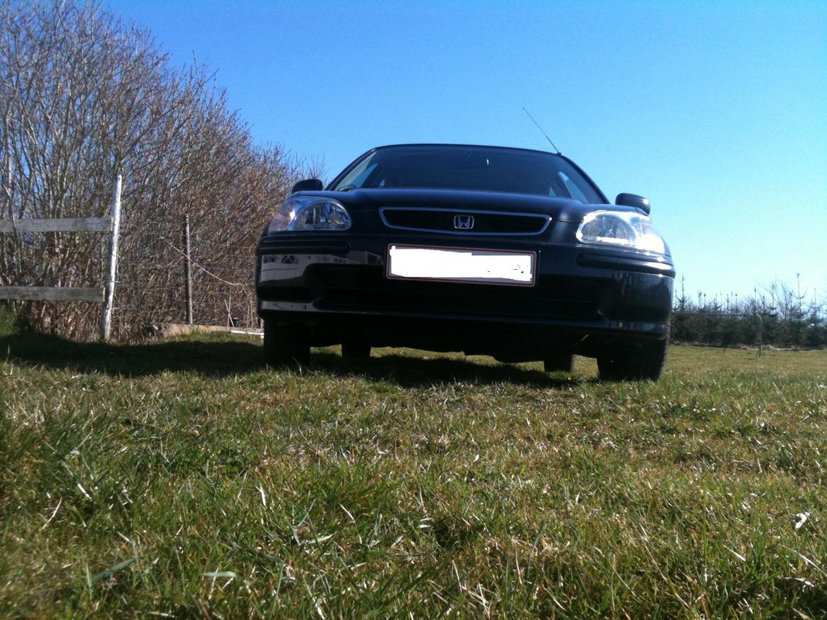 Honda Civic 1.4i billede 5