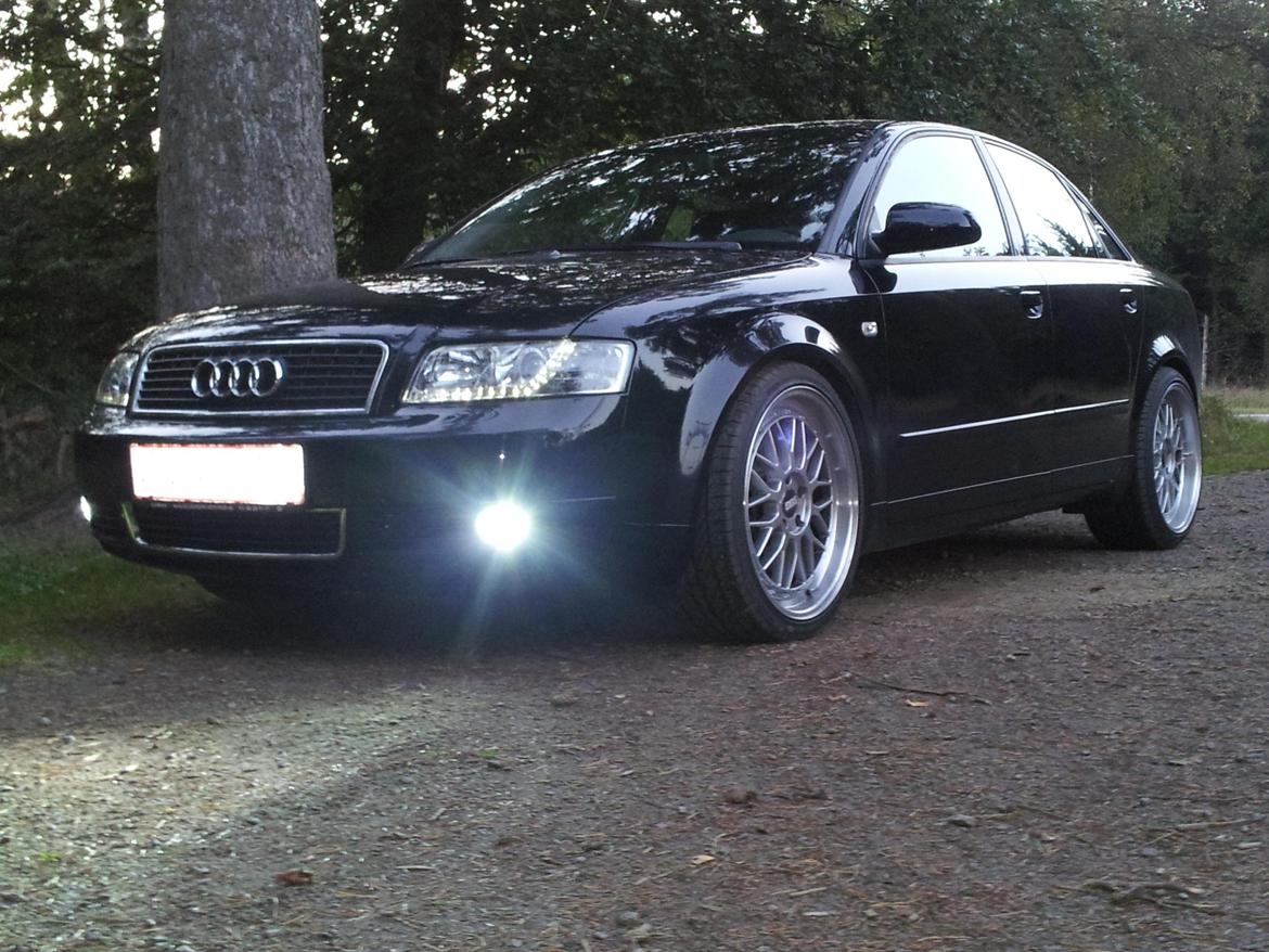 Audi A4 B6 E8 billede 1