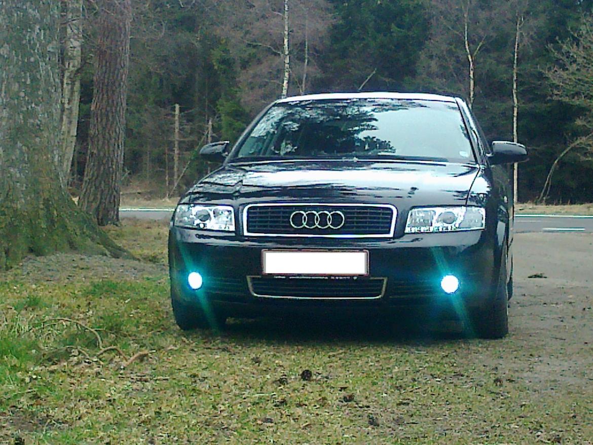 Audi A4 B6 E8 billede 11