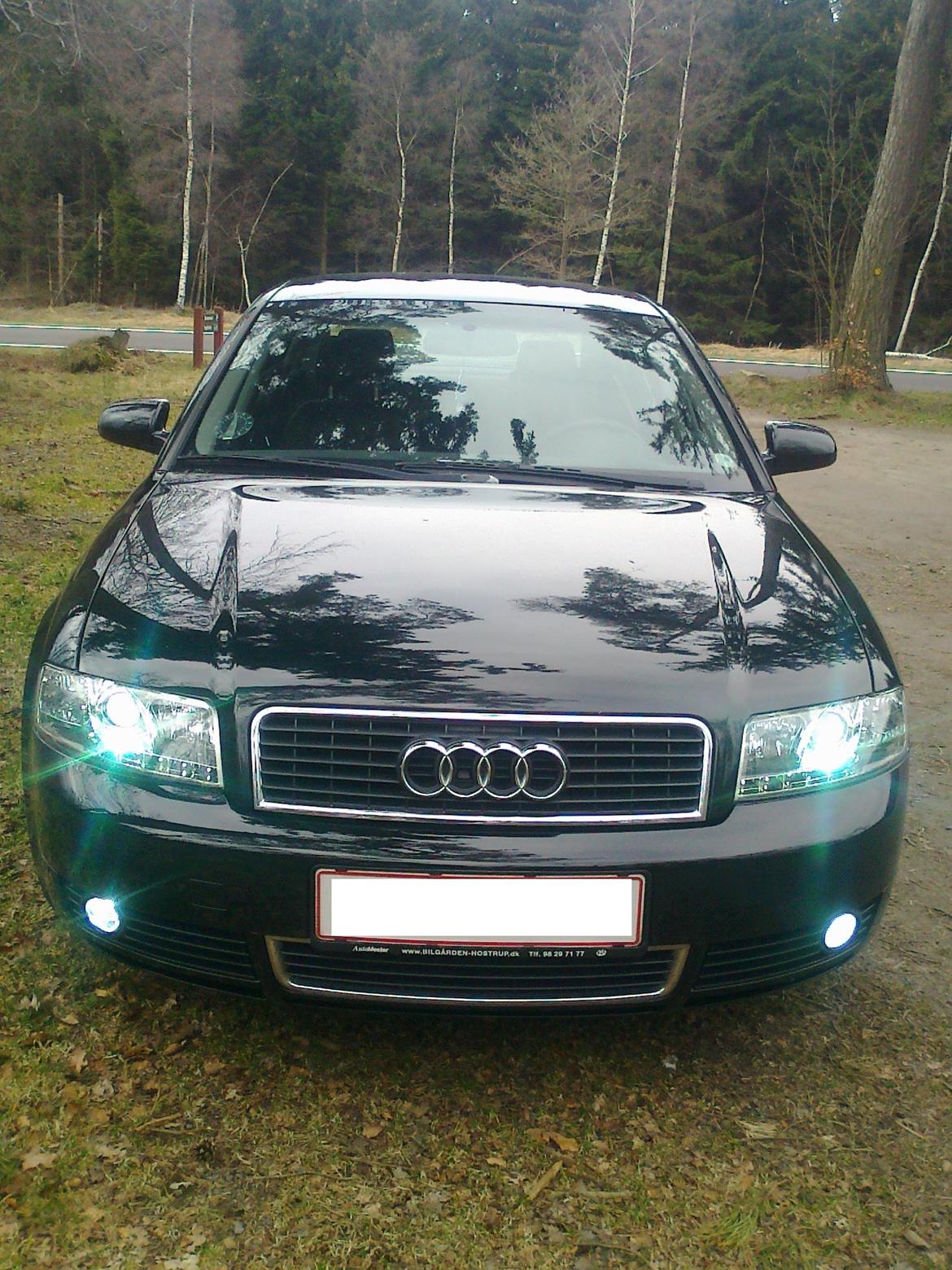 Audi A4 B6 E8 billede 12