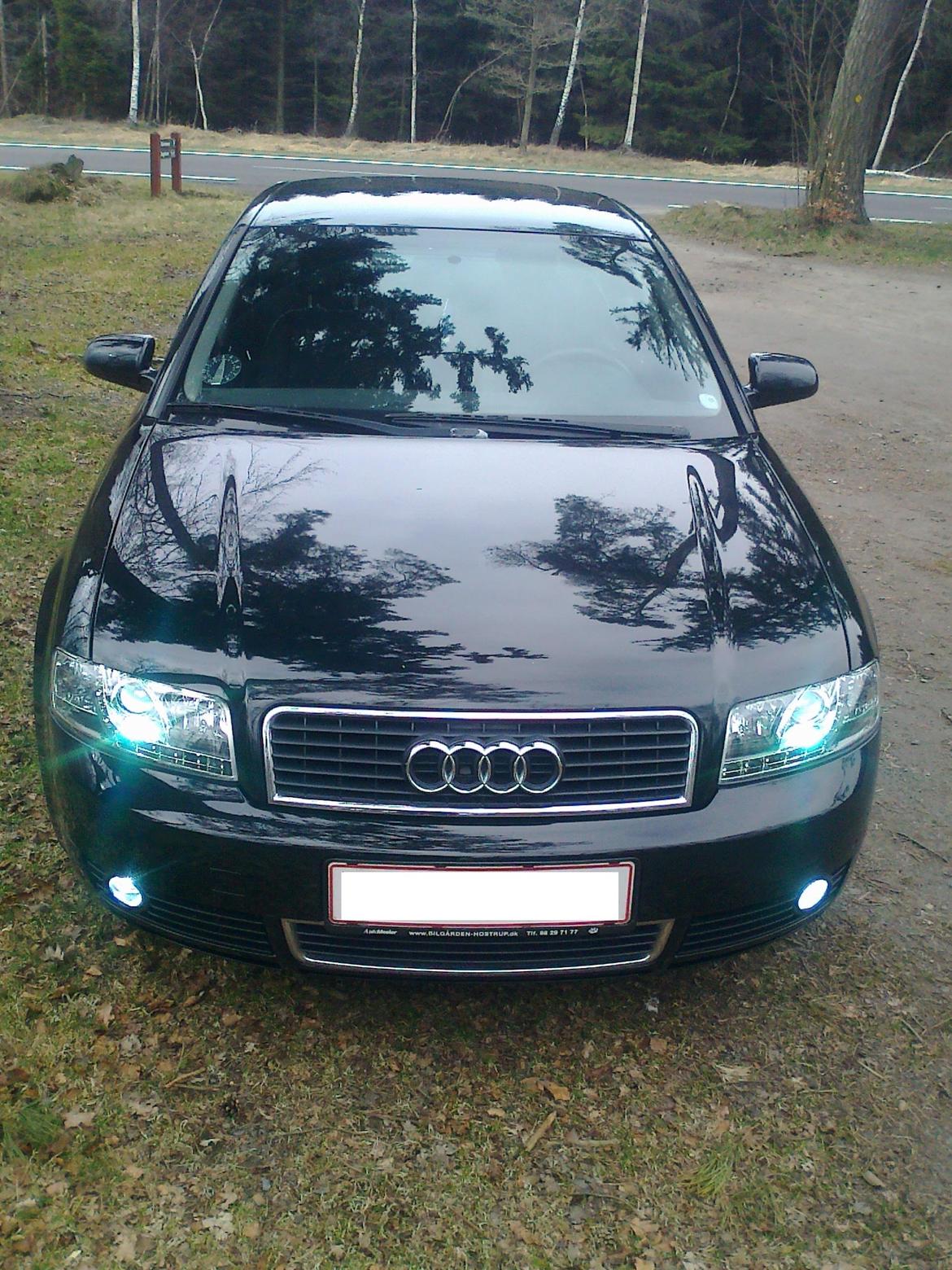 Audi A4 B6 E8 billede 15