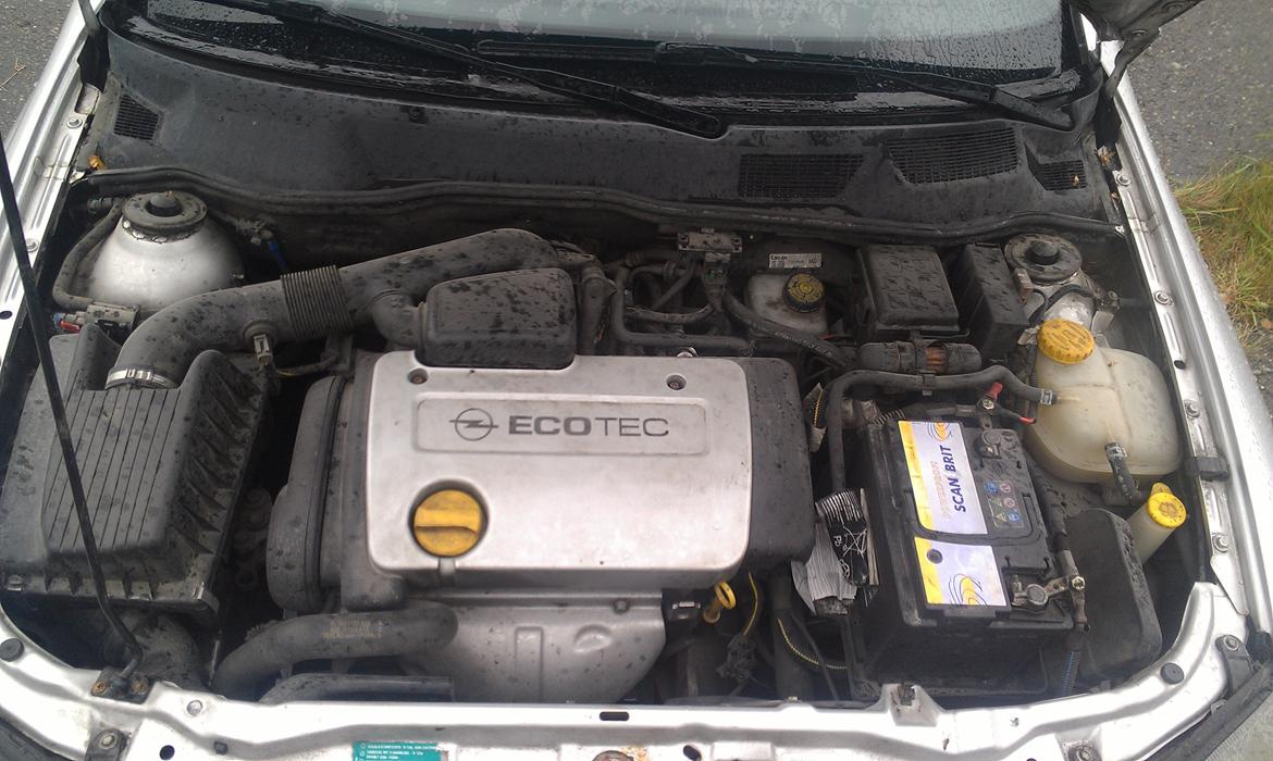 Opel Astra G billede 15