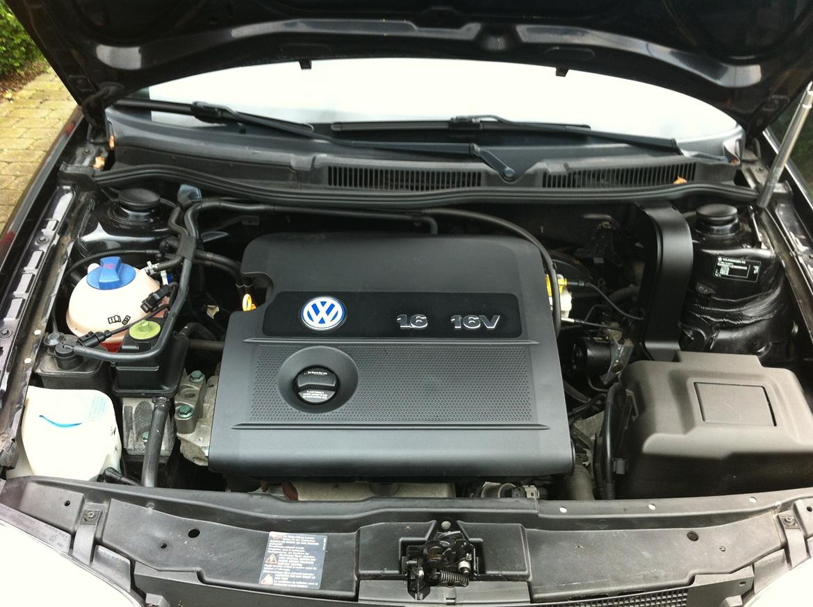 VW Golf 4 Trendline billede 12