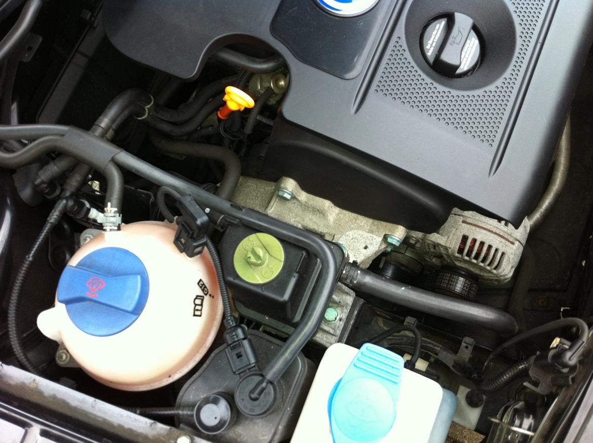 VW Golf 4 Trendline billede 15