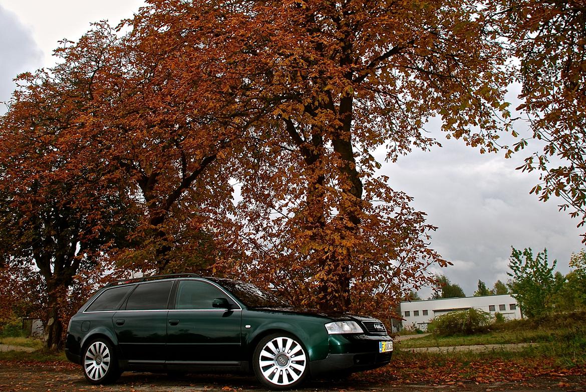 Audi A6 2.5 TDI V6 (Solgt) billede 3