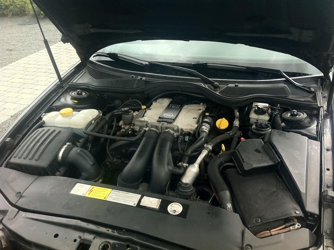 Opel Omega B billede 11