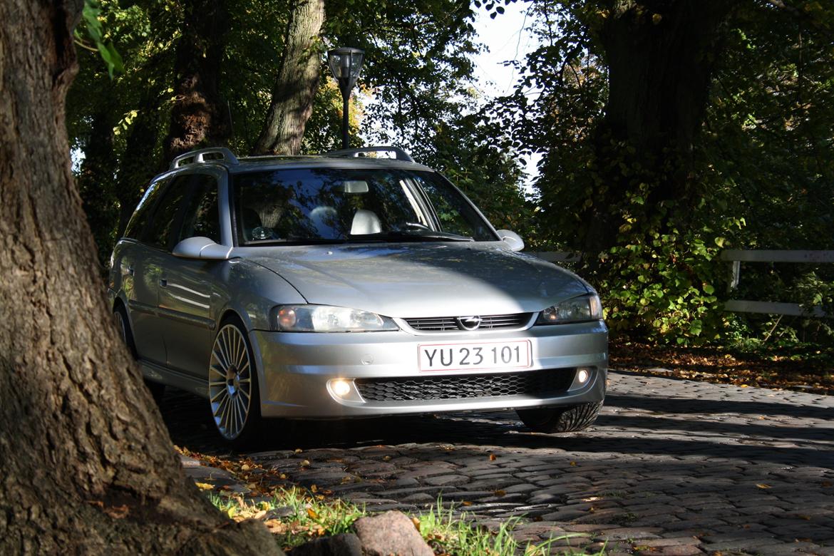 Opel Vectra V6 -- Død -- billede 3