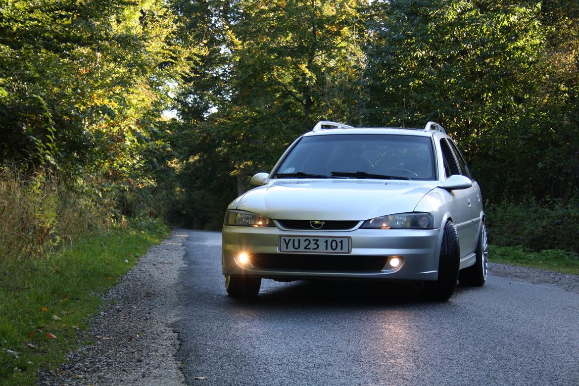 Opel Vectra V6 -- Død -- billede 4