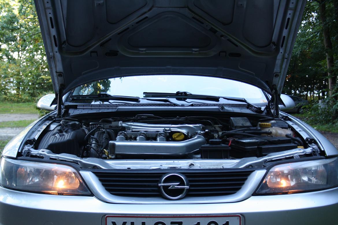 Opel Vectra V6 -- Død -- billede 6