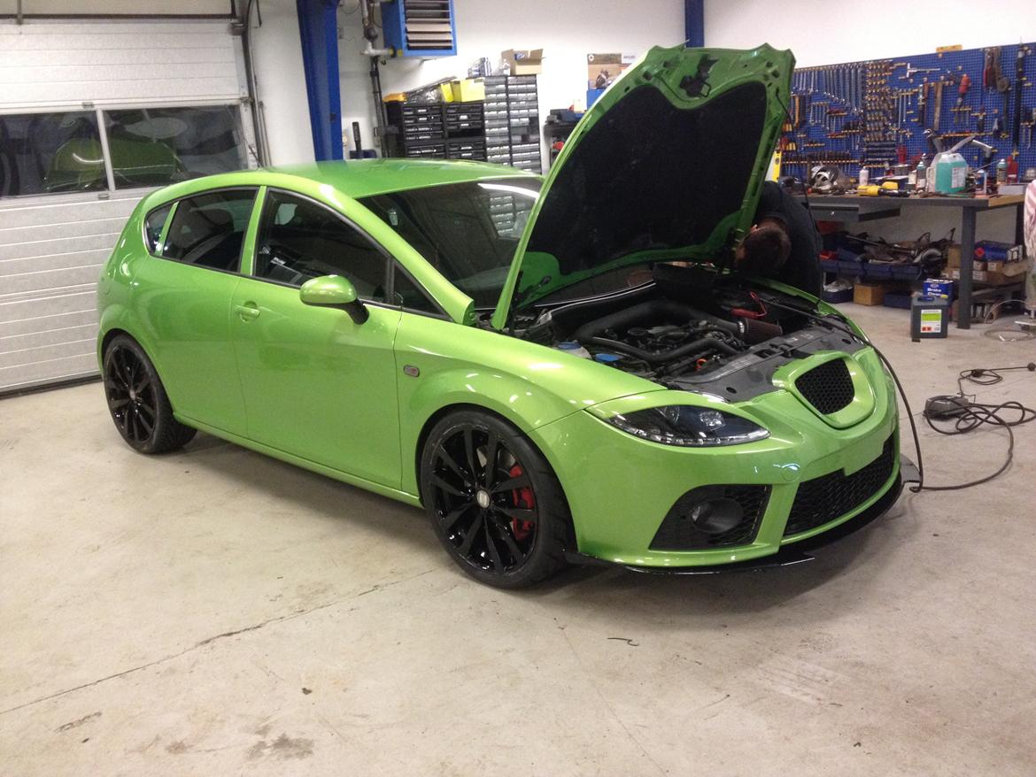 Seat Leon Cupra billede 5