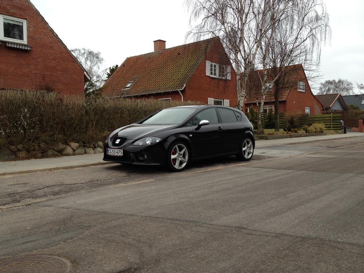 Seat Leon Cupra billede 19