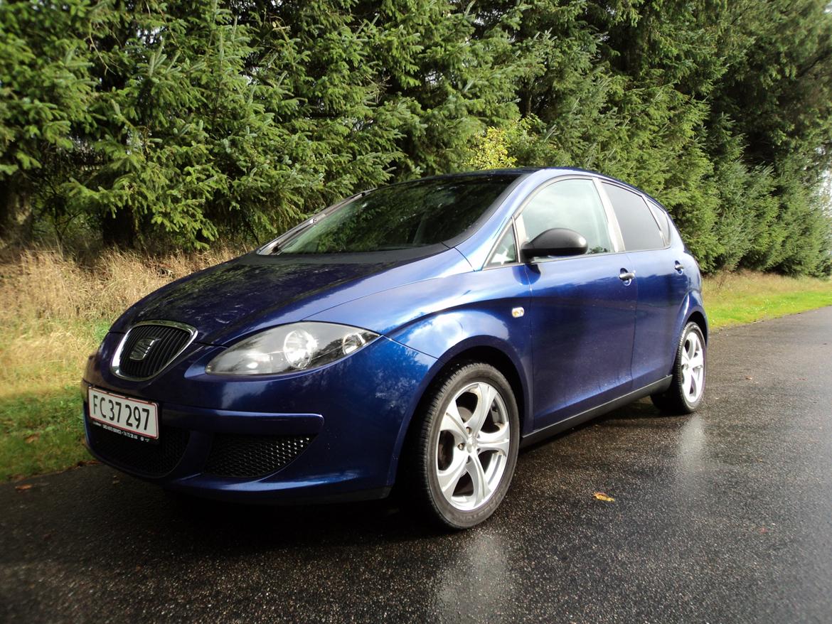 Seat Altea billede 1