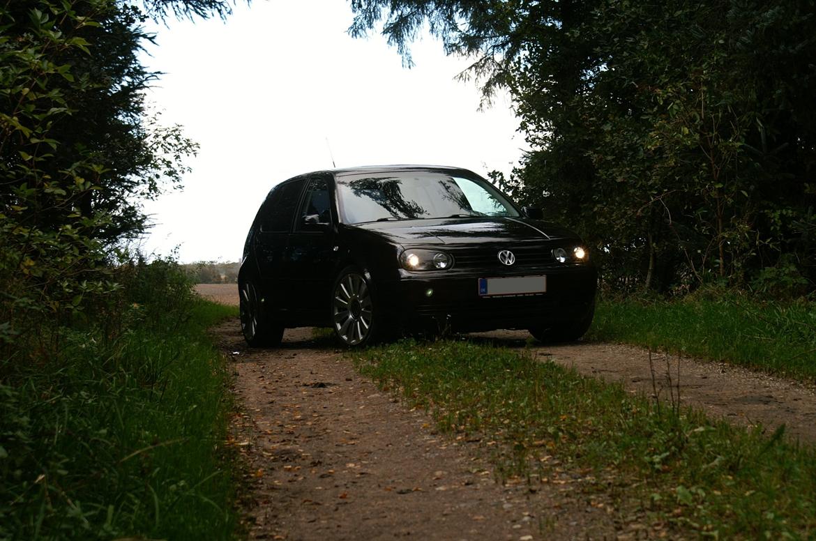 VW Golf IV 1,6 SR billede 8