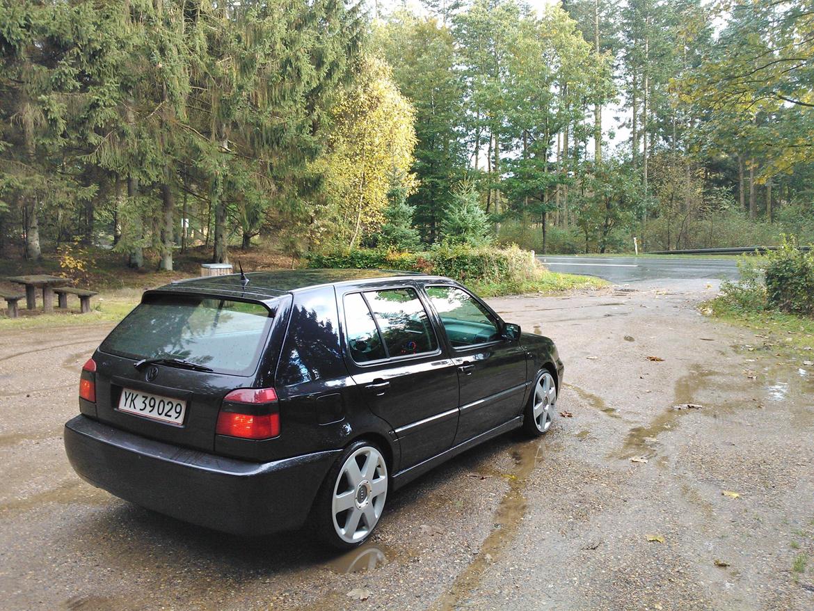 VW Golf 3 1.9 TDI SOLGT billede 6
