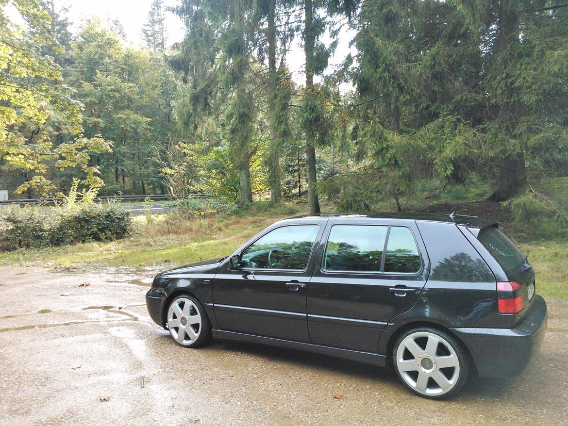 VW Golf 3 1.9 TDI SOLGT billede 10