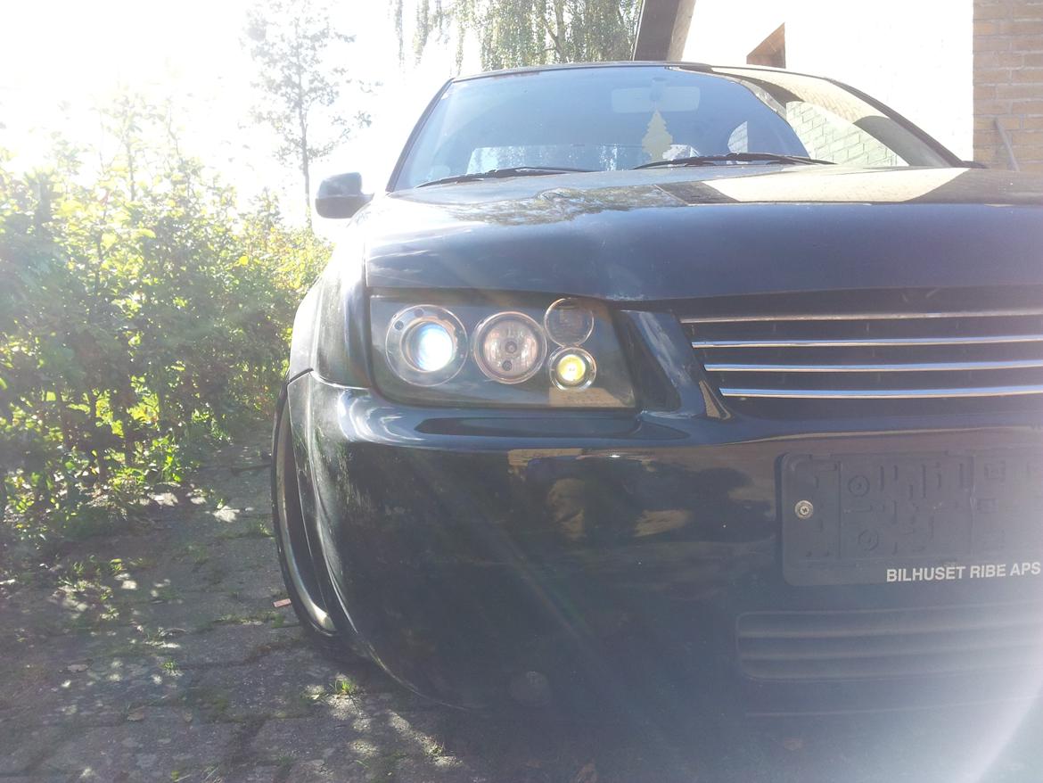 VW Bora - brændt billede 2