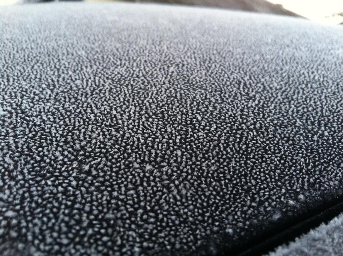 Ford Fiesta 1,4 Titanium SOLGT - Nu med pels billede 15