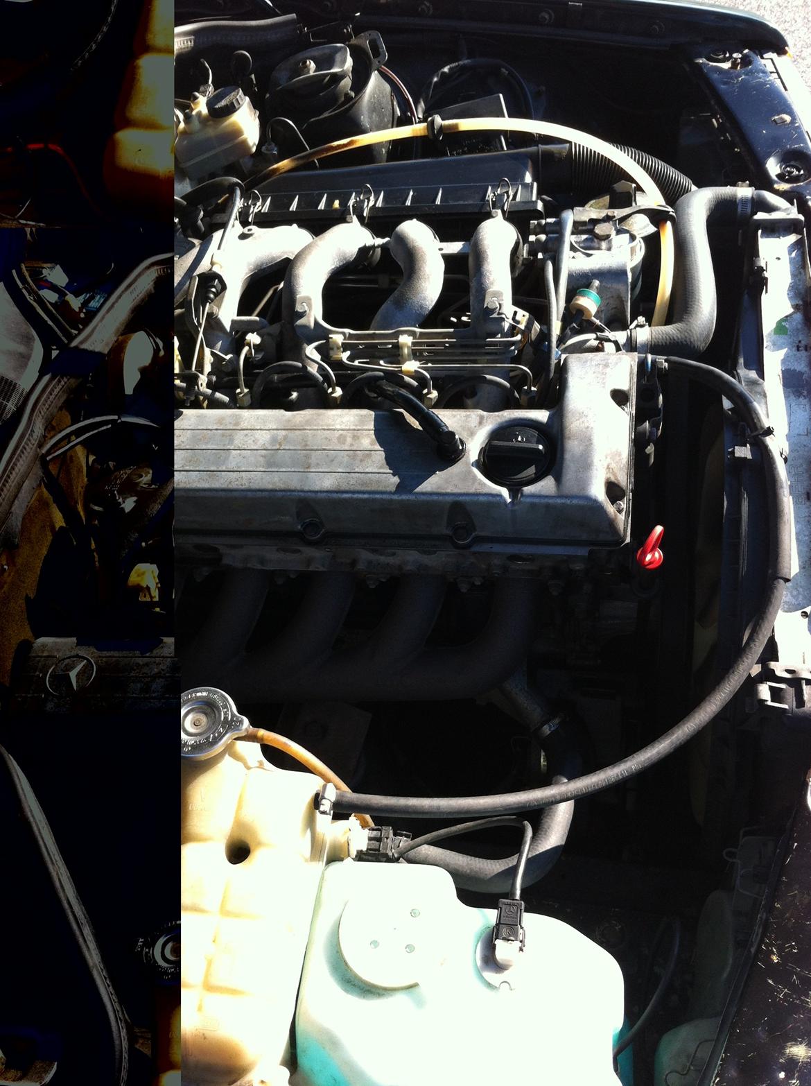 Mercedes Benz W201 190D[Tidl. bil] billede 4