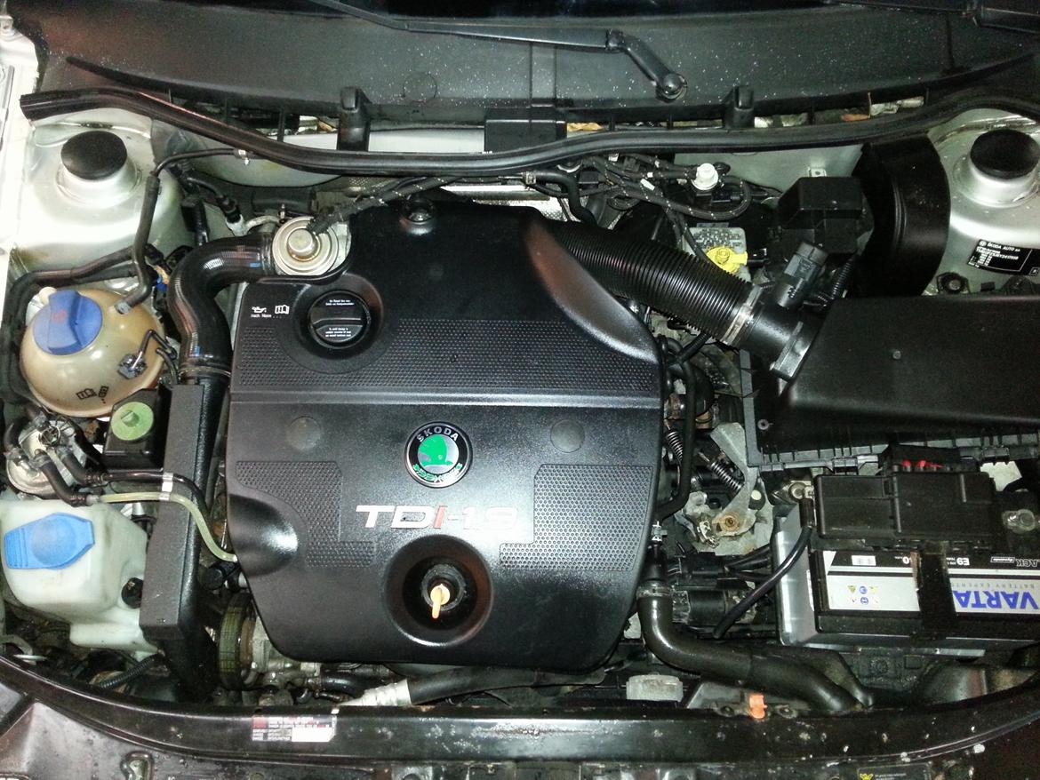 Skoda octavia TDI "Solgt" billede 14